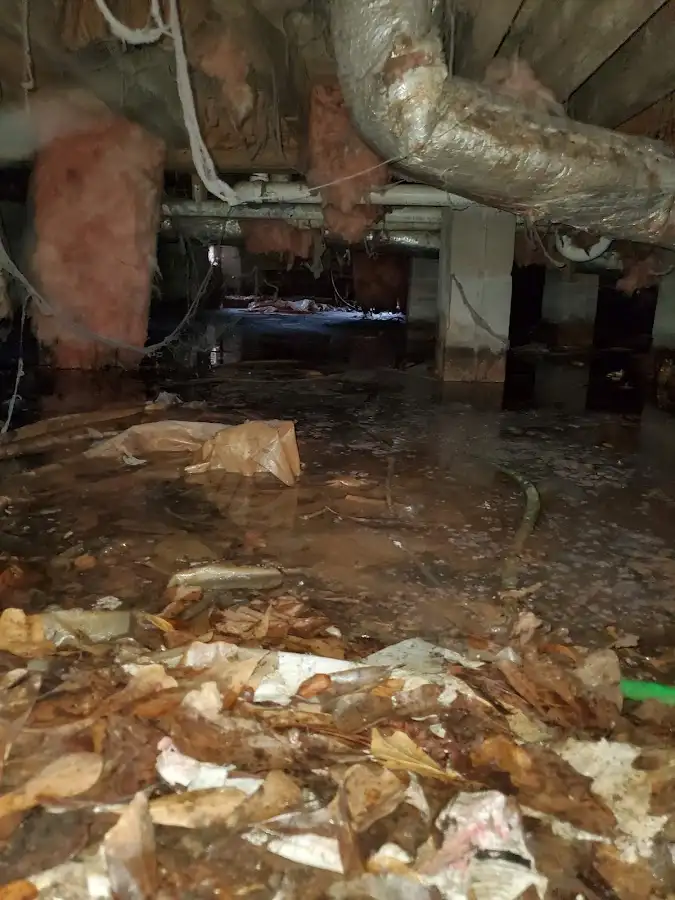 Crawl space flood assessment for Leak Detection & Repair in Covina